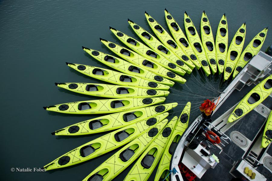 Kayaks encircling the UnCruise ship