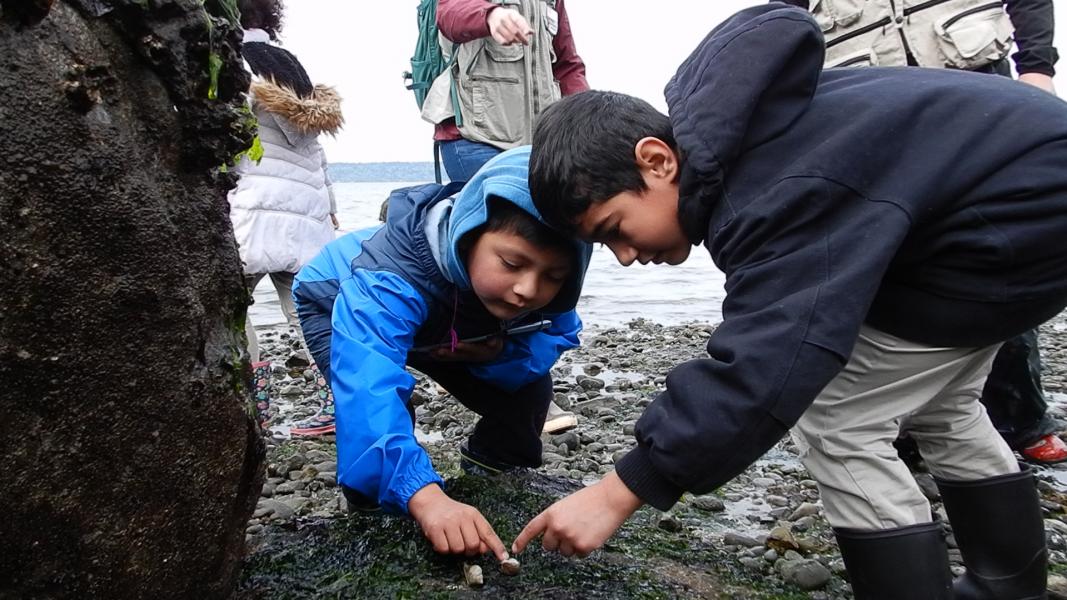 Students from Southern Heights Elementary School discover animals at Seahurst Beach.