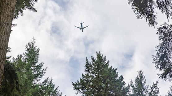 How to Save the Earth (for Travelers)