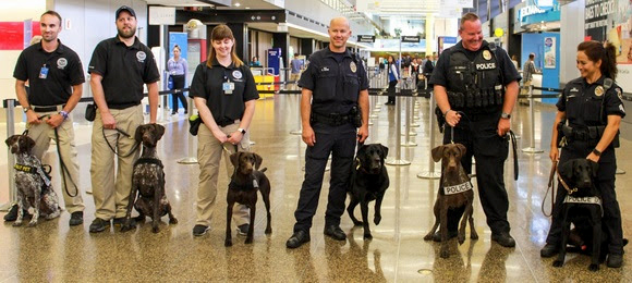 Tsa clearance k9 training