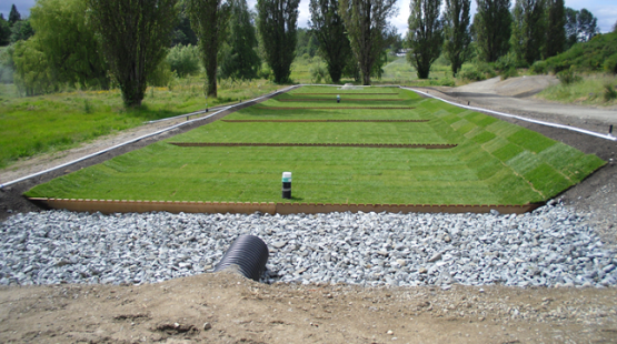 Image of stormwater treatment drainage system, gravel and trees