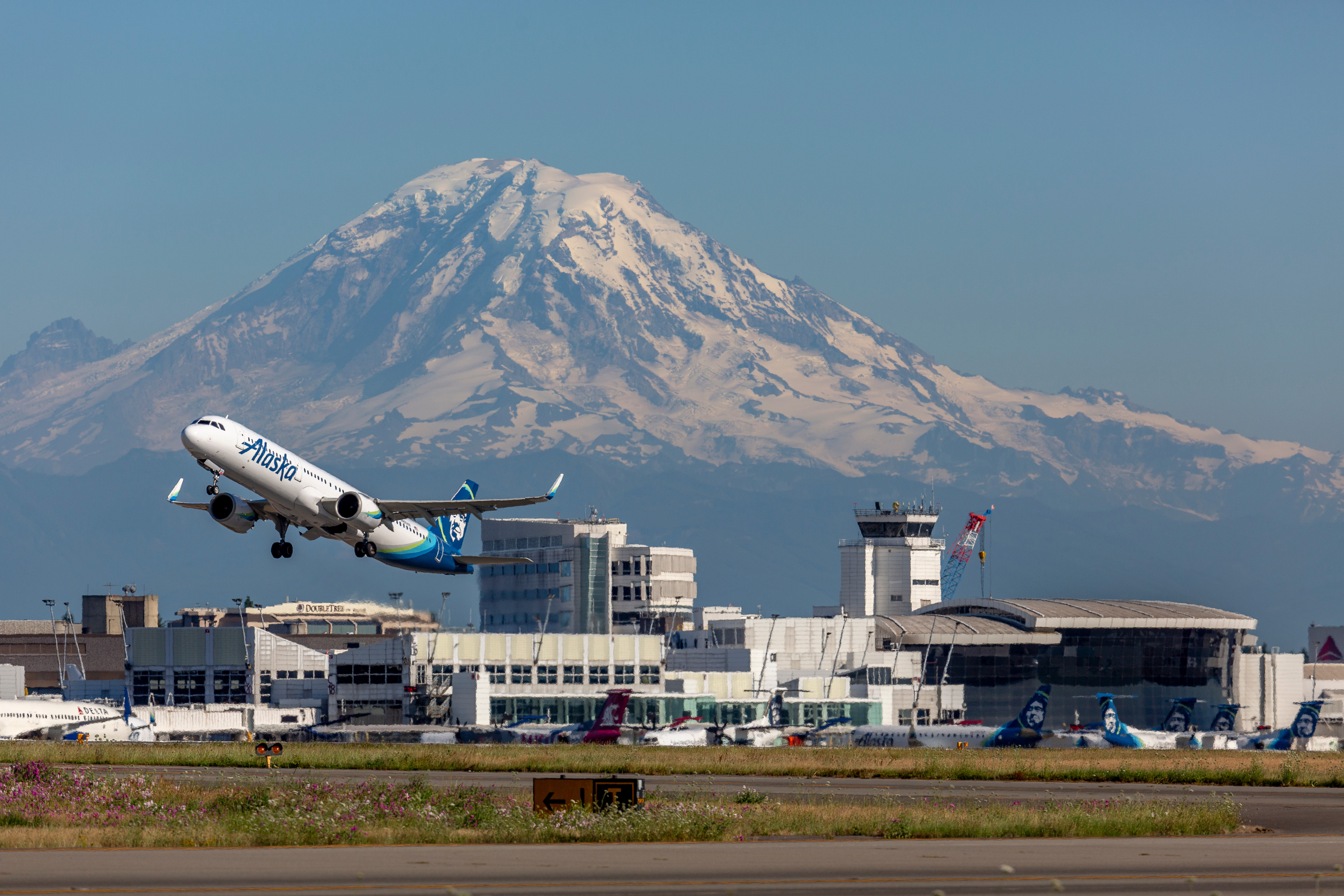 Flight Status | of Seattle