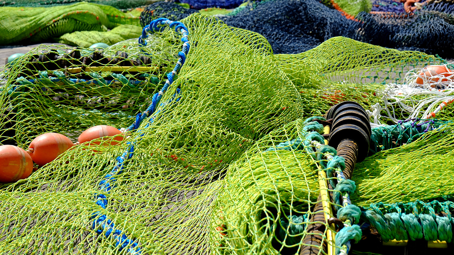 Nothing But Net Startup Helps Gives New Life to Fishing Gear Port of