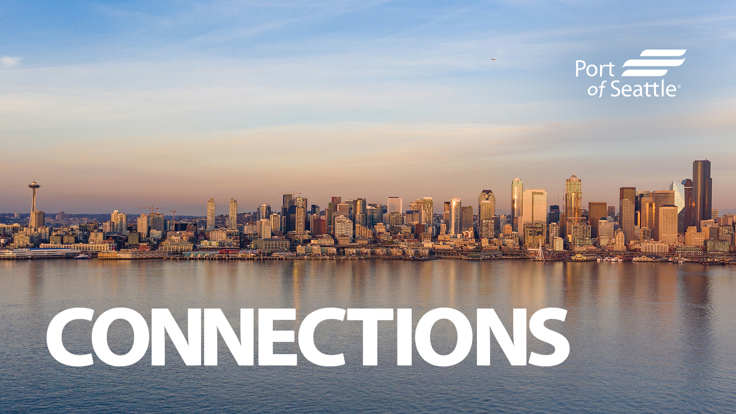 Seattle waterfront viewed from the west over Elliott Bay with pink sky of the rising sun delicately draped over the skyline