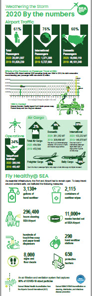 Thumbnail of the SEA infographic
