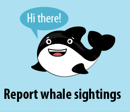 Protect Orcas