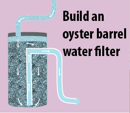 Oyster Barrel
