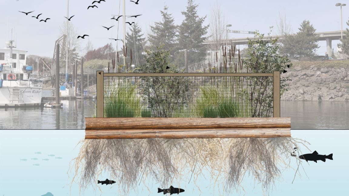 Floating Wetland Demonstration Project | Port of Seattle