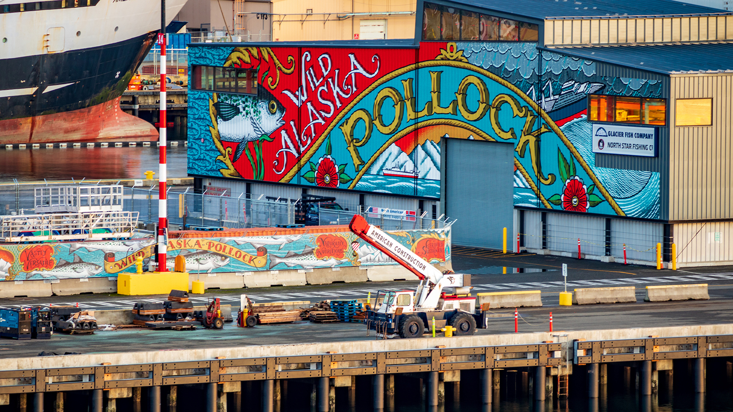 A Closer Look at Pier 91’s Newest View  Port of Seattle
