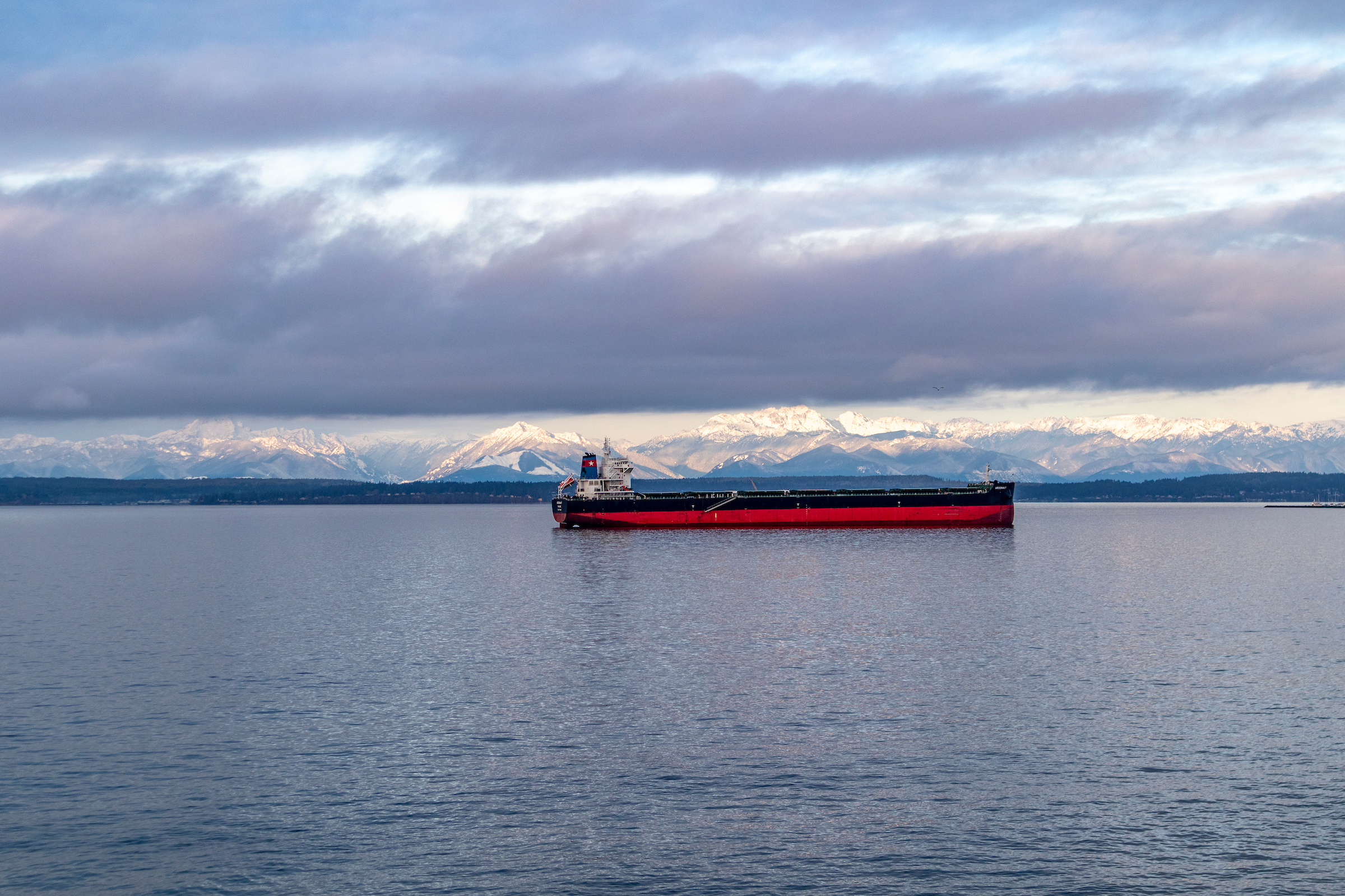 Puget Sound Maritime Businesses Lead the Fight against Climate Change | Port of Seattle