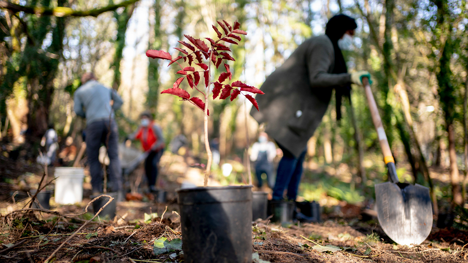 Join West Hartford's Tree Community in 2024 | Troutbrook 2 Trout Brook Arborist - Landscaping & Tree Services The Best Tree Services in West Hartford CT - Certified Arborists & Landscaping