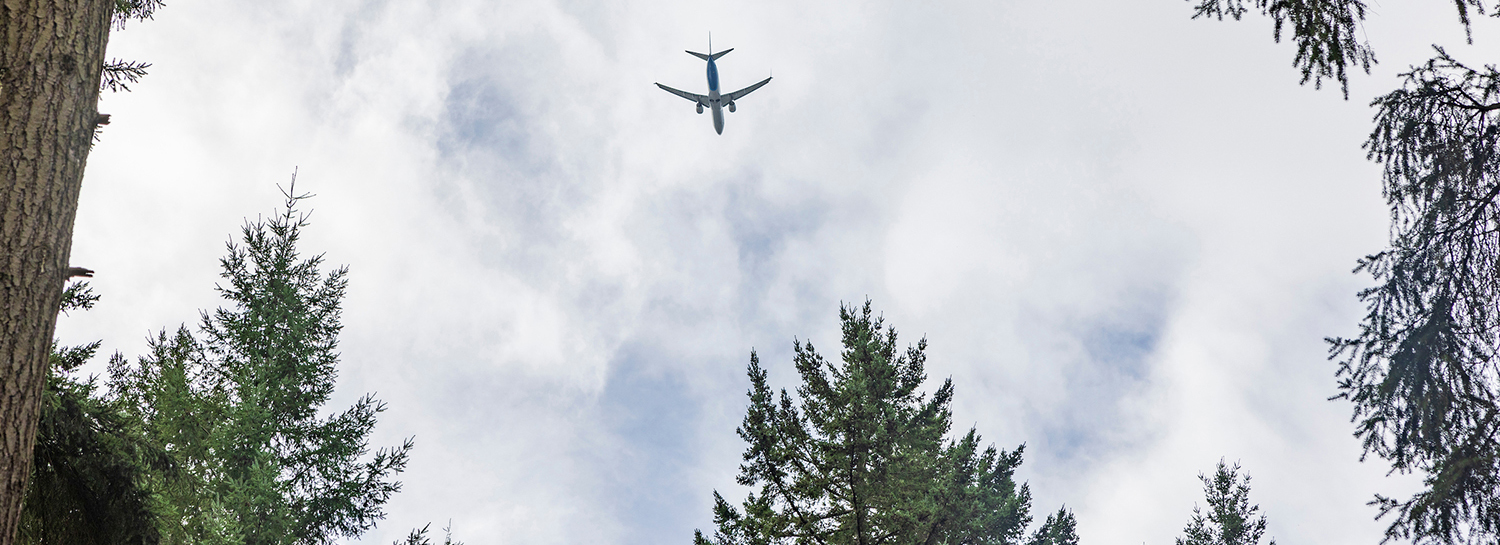 Plane flying overhead with trees in the foreground