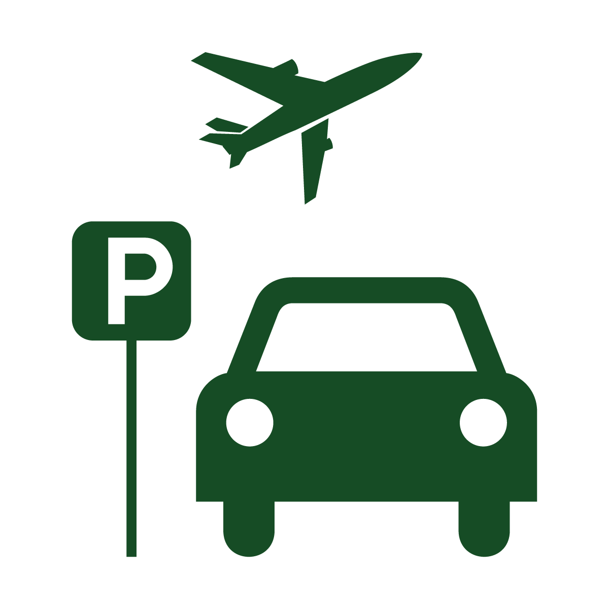 Parking Icon
