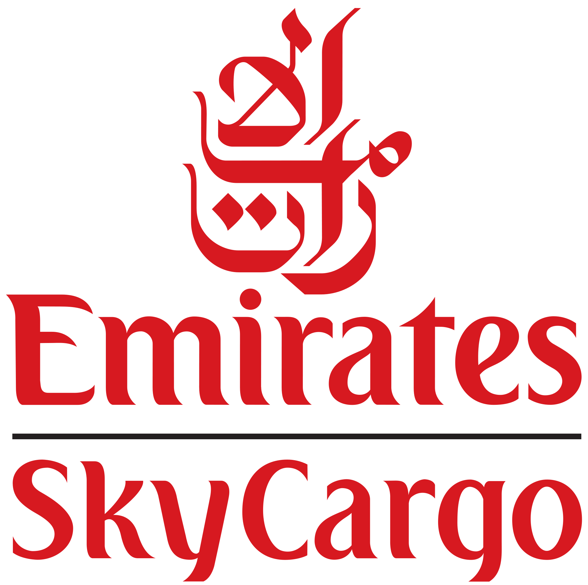 Image result for SkyCargo