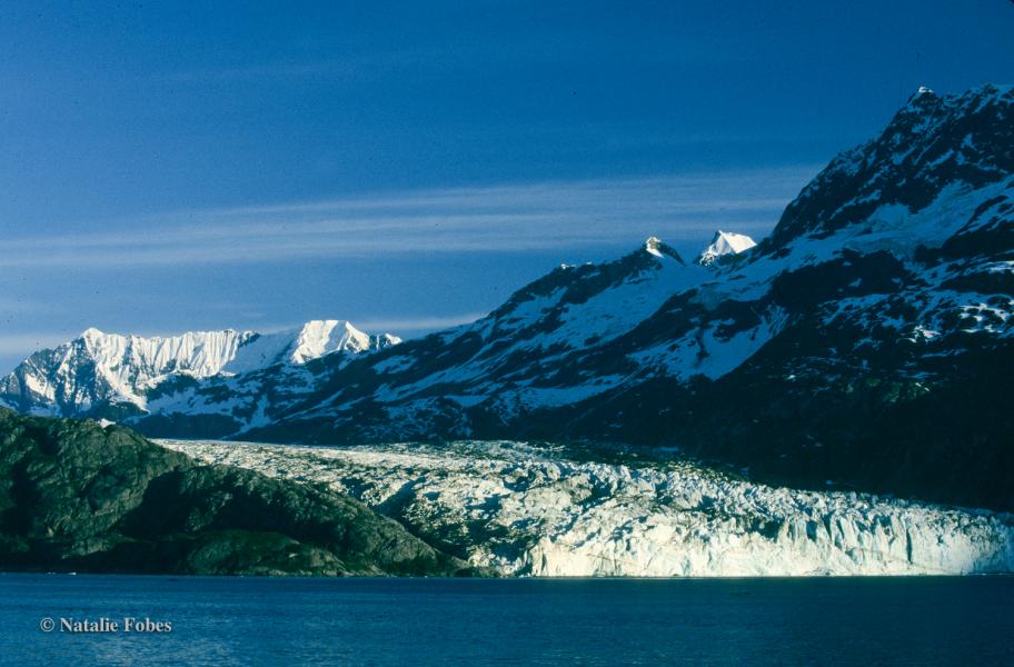 Alaska backdrop