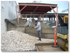 Oysters being prepared for filtration