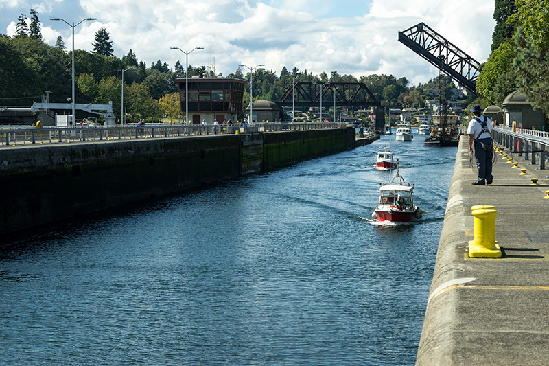 Boats go through the Ballard Locks
