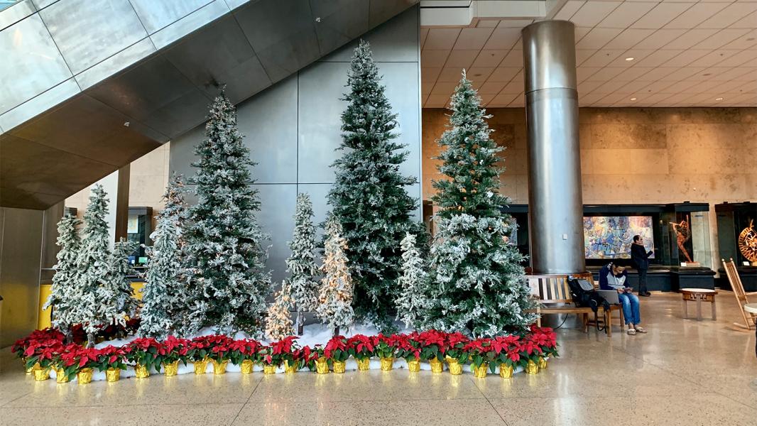 Holiday trees decorations at Sea-Tac Airport