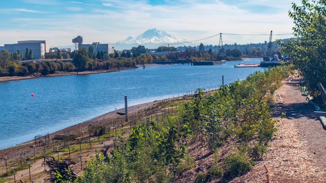 Duwamish River People's Park