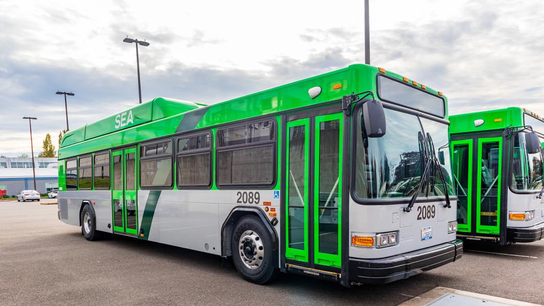 SEA-branded rental car buses