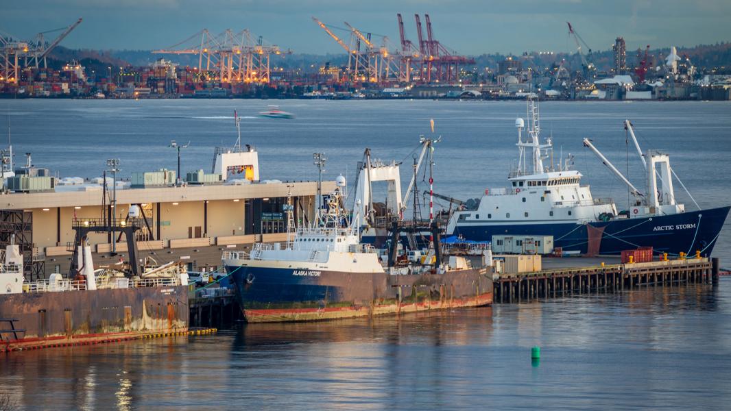 All About the Fishing Fleet at Terminal 91