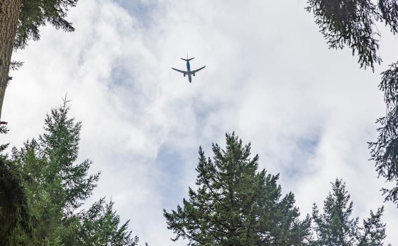 Plane flies overhead with evergreen trees framing the view