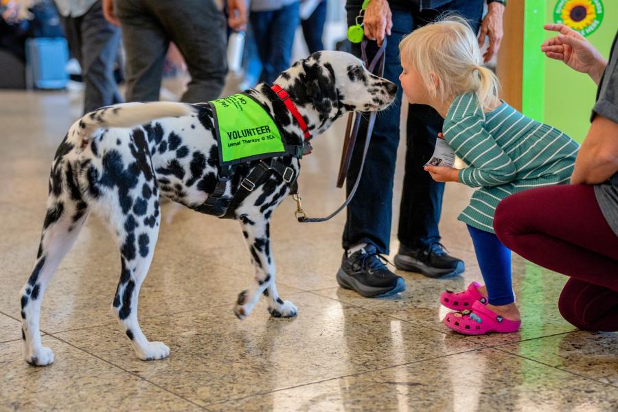 volunteer dog with kid
