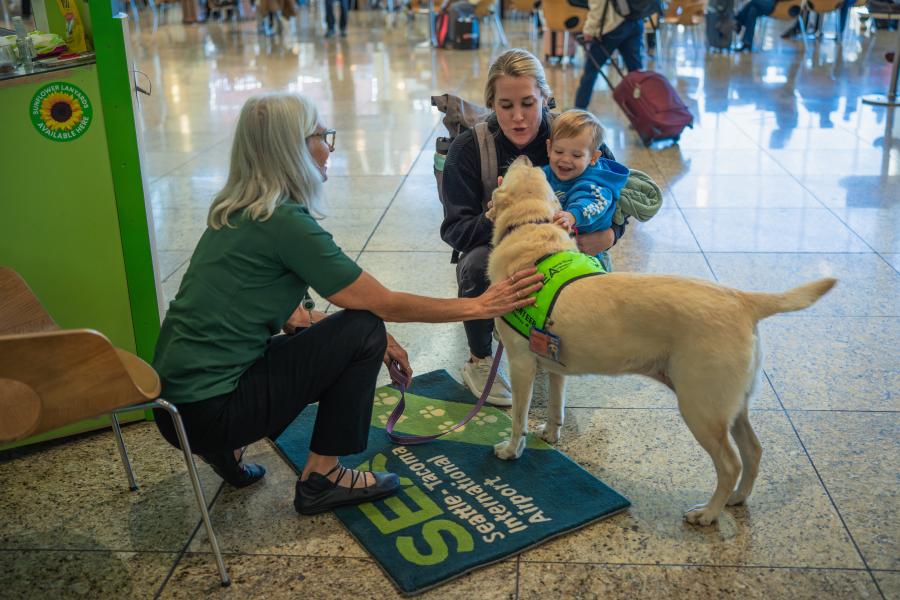 Gracie (SEA Pup) with Joanne (Handler) in central terminal with travelers offering pets, cuddles, and hugs. Available for general port use and for volunteers to use.