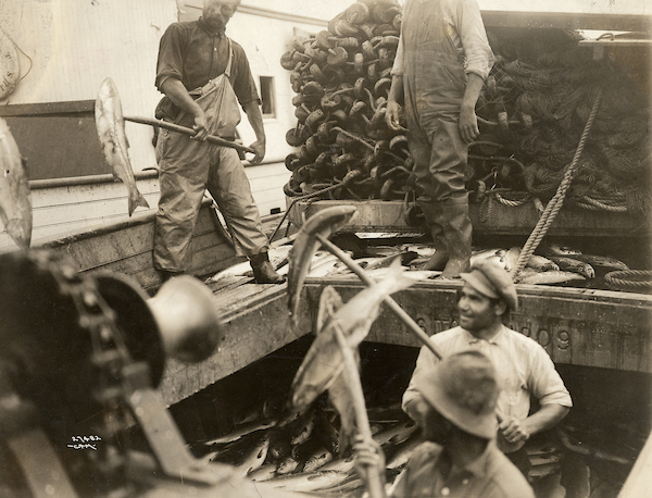 Historic image of Fishermen unloading fish at Fishermen's Terminal