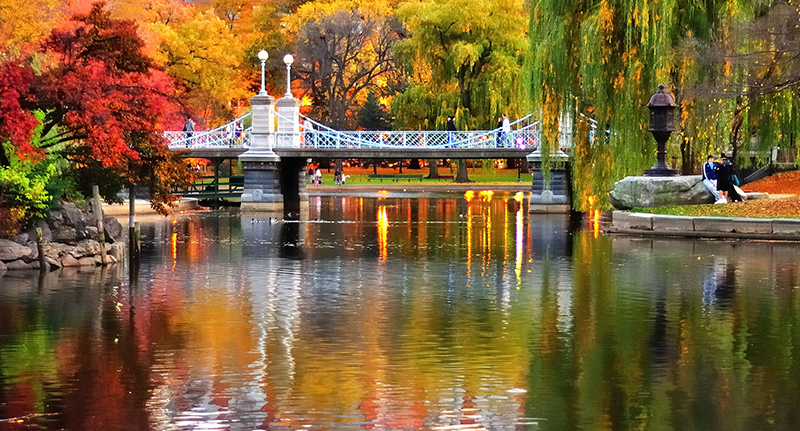 Boston Public Garden