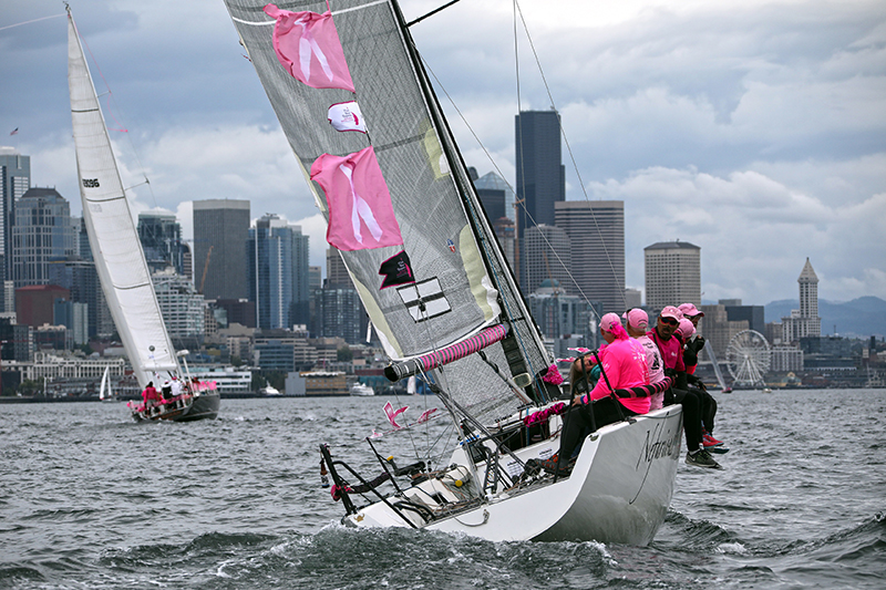 Sailing in the Pink Regatta