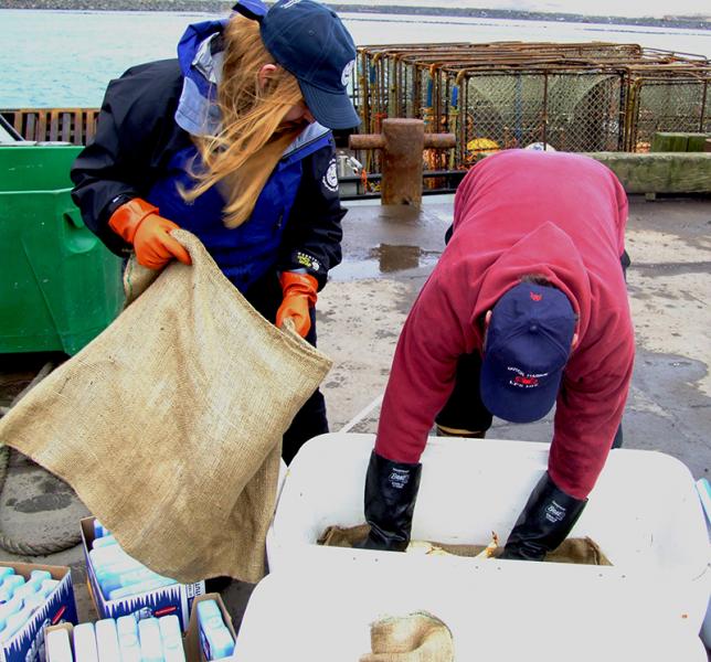Virgil Group helps make seafood traceable and legal.