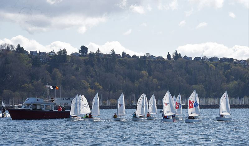 Sailboats at Shilshole