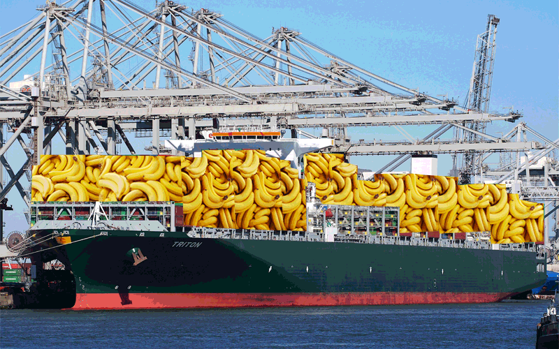 Ship carrying lots of bananas