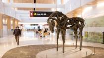 A driftwood sculpture shaped like an animal stands on a circular platform in a bright airport concourse near seating and gate signs.