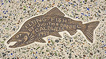 Flying Fish