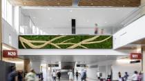 A spacious airport concourse with high ceilings, wood paneling, and a large green wall art piece featuring sweeping tan branch‑like shapes. Travelers walk through the terminal below, and overhead signs indicate gates N20 and N11.