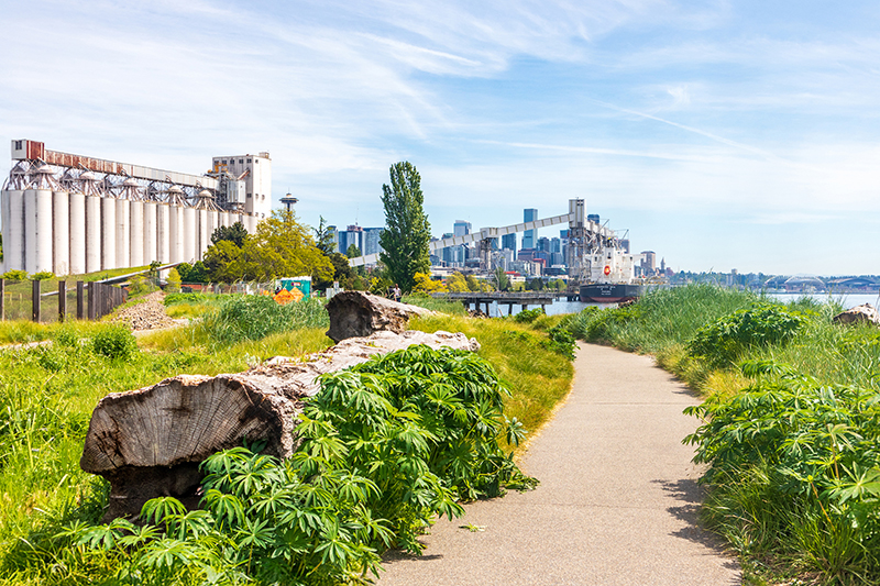 Views of Centennial Park