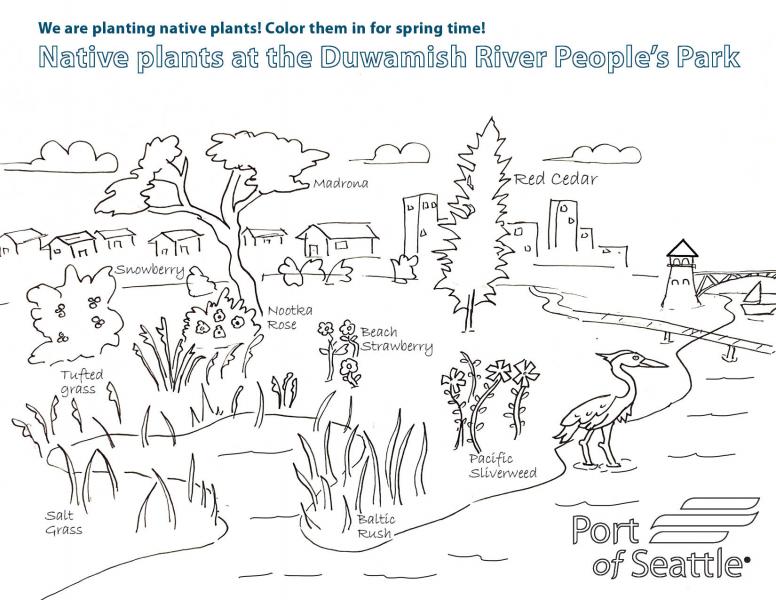 Download the printable PDF coloring sheet.