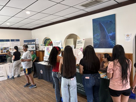 Youth peruse the learning fair.