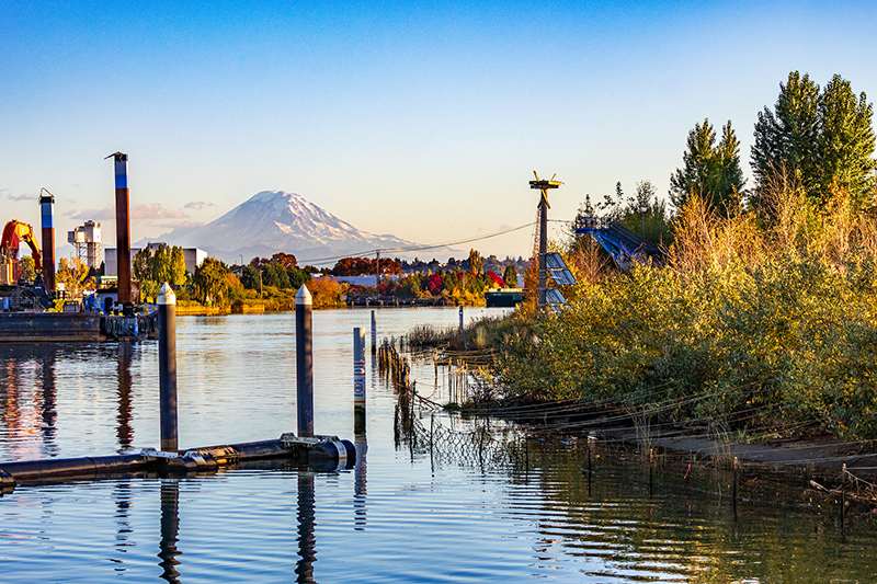 View of Mount Rainier and the Duwamish River from Duwamish River People's Park