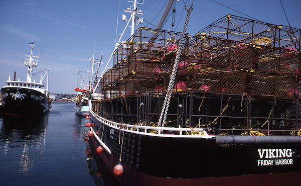 Traps on the back of a commercial fishing vessel