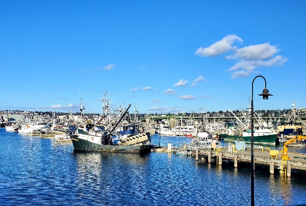 Sunny day on the docks at Fishermen's Terminal