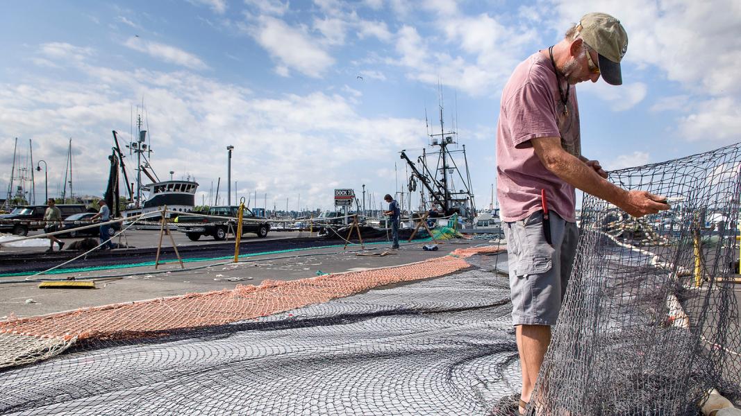 Fisherman at Fishermen's Terminal