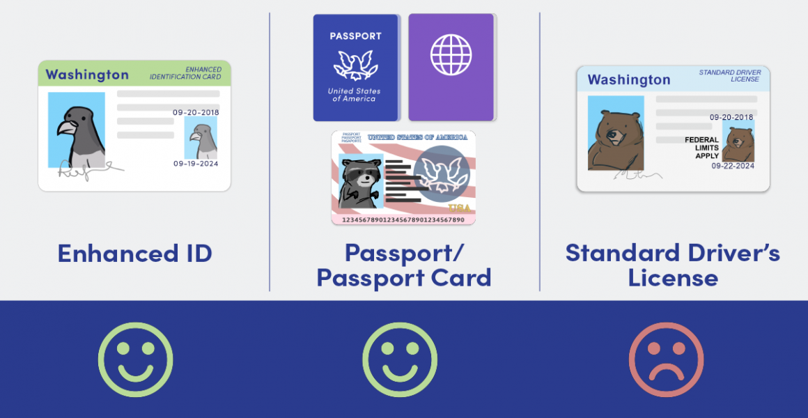 What is REAL ID? Enhanced driver's license? What you need to know to travel  next year 