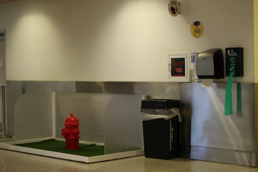 Pet Relief Area