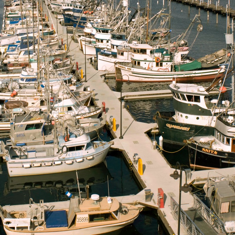 The Dock at Fisherman's Terminal