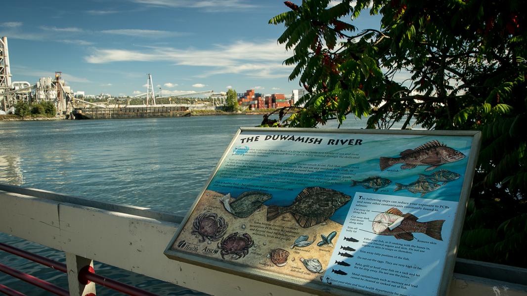 An overlook of the Duwamish at the 