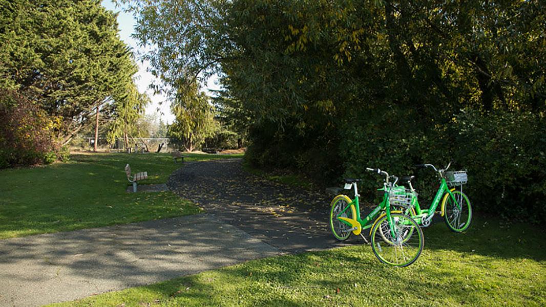 Bicycles parked at Terminal 108 Park, Seattle, Oct. 2018