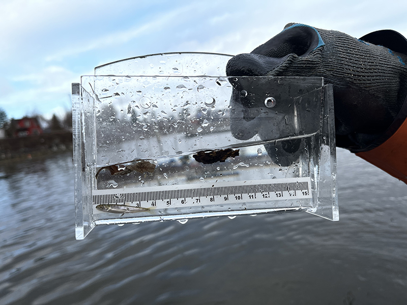 Innovative Underwater Technology Transforms Port Research and Conservation